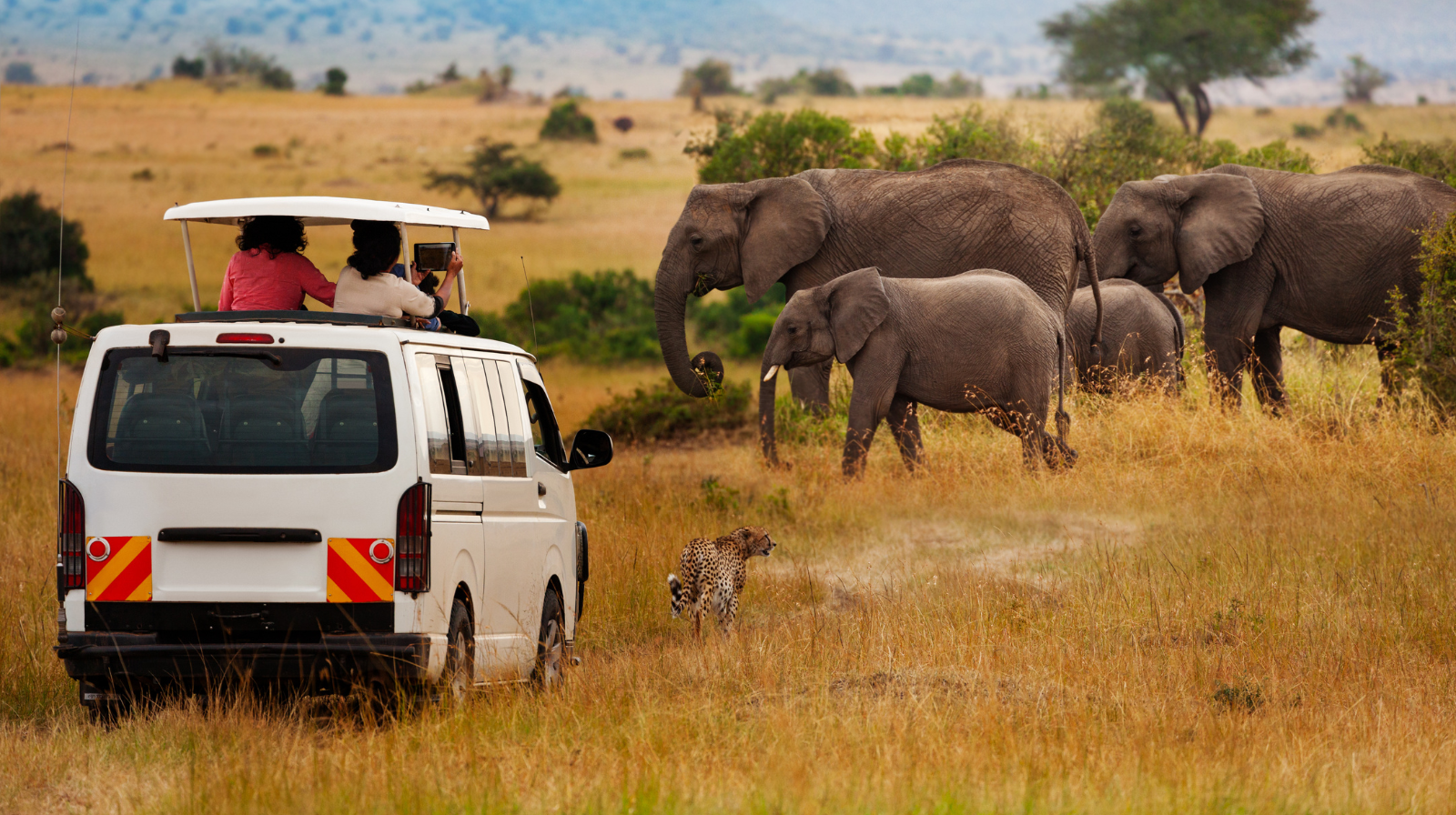Kudde olifanten en een luipaard in één scène op de savanne van de Masai Mara