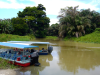Boottransfer over de junglekanalen naar Tortuguero aan de Caribische kust van Costa Rica.