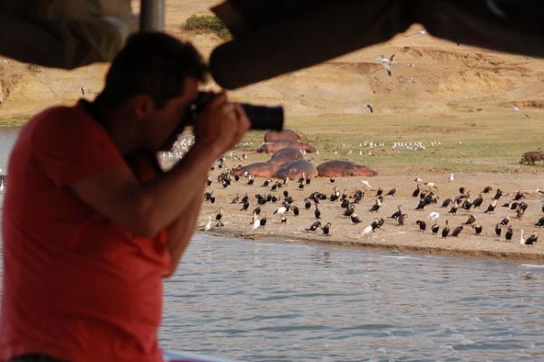 Wildlife-rijke boottocht over het Kazinga Channel, met uitzicht op nijlpaarden, buffels en oevers vol vogels.