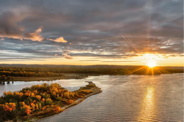 De Cuyabeno-rivier in de Amazone van Ecuador, slingert door dicht tropisch regenwoud en vormt het hart van het jungle-ecosysteem.