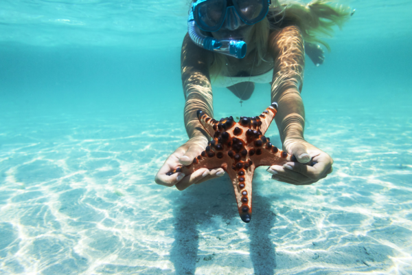 Onderwaterfoto van snorkelaar met zeester voor de kust van Diani Beach