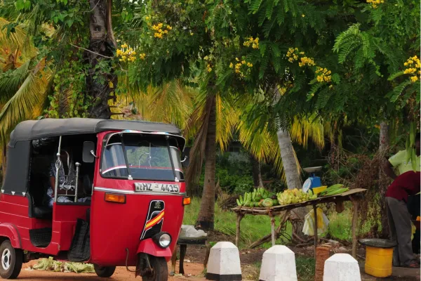 Rode tuk-tuk langs de weg met fruitkraam en palmbomen tijdens rondreis Sri Lanka