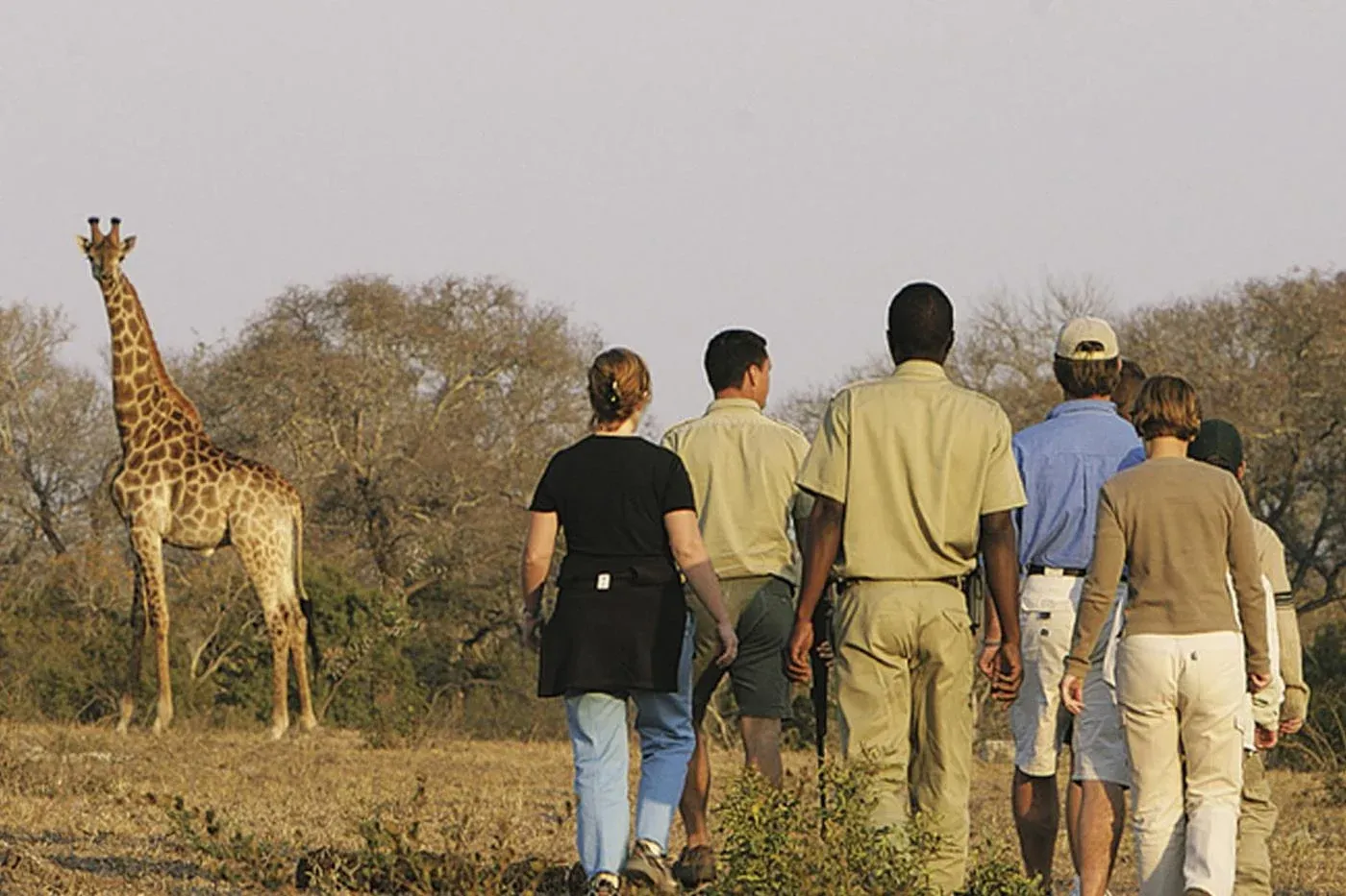 Ranger en reizigers tijdens bushwalk in Selous tussen graslanden en bomen