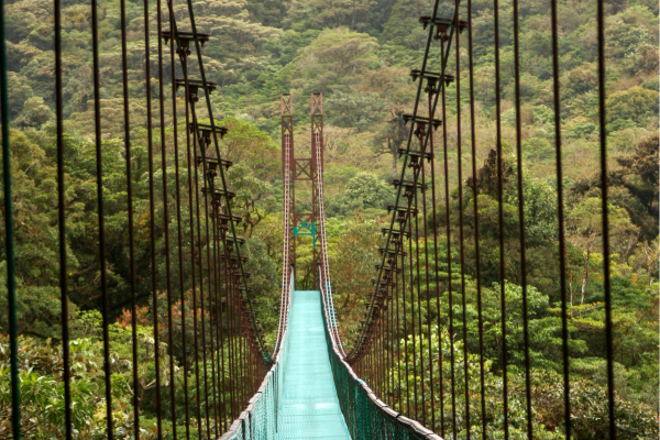 Wandelpad door het regenwoud van Tenorio Volcano National Park bij Rio Celeste.
