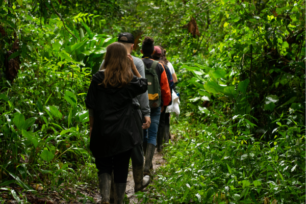 Begeleide nachtwandeling in het Amazone regenwoud van Cuyabeno, op zoek naar amfibieën en reptielen.