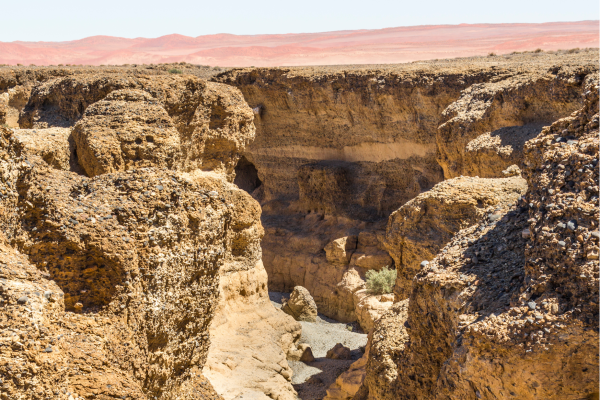 “Ochtend gamedrive in Pilanesberg Nationaal Park”