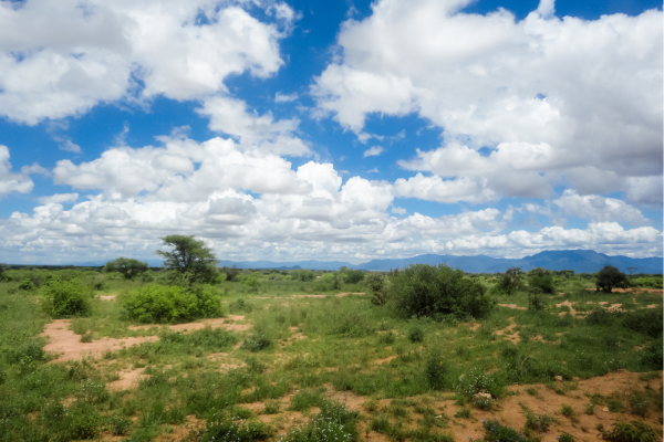 Moshi landschap Tanzania