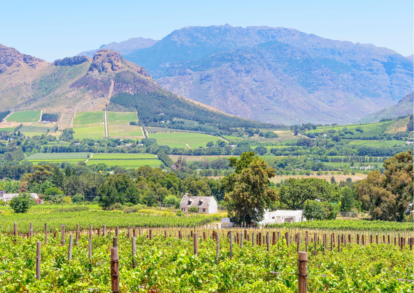 Fransschhoek-Wijnlandschap-Panorama uitzicht