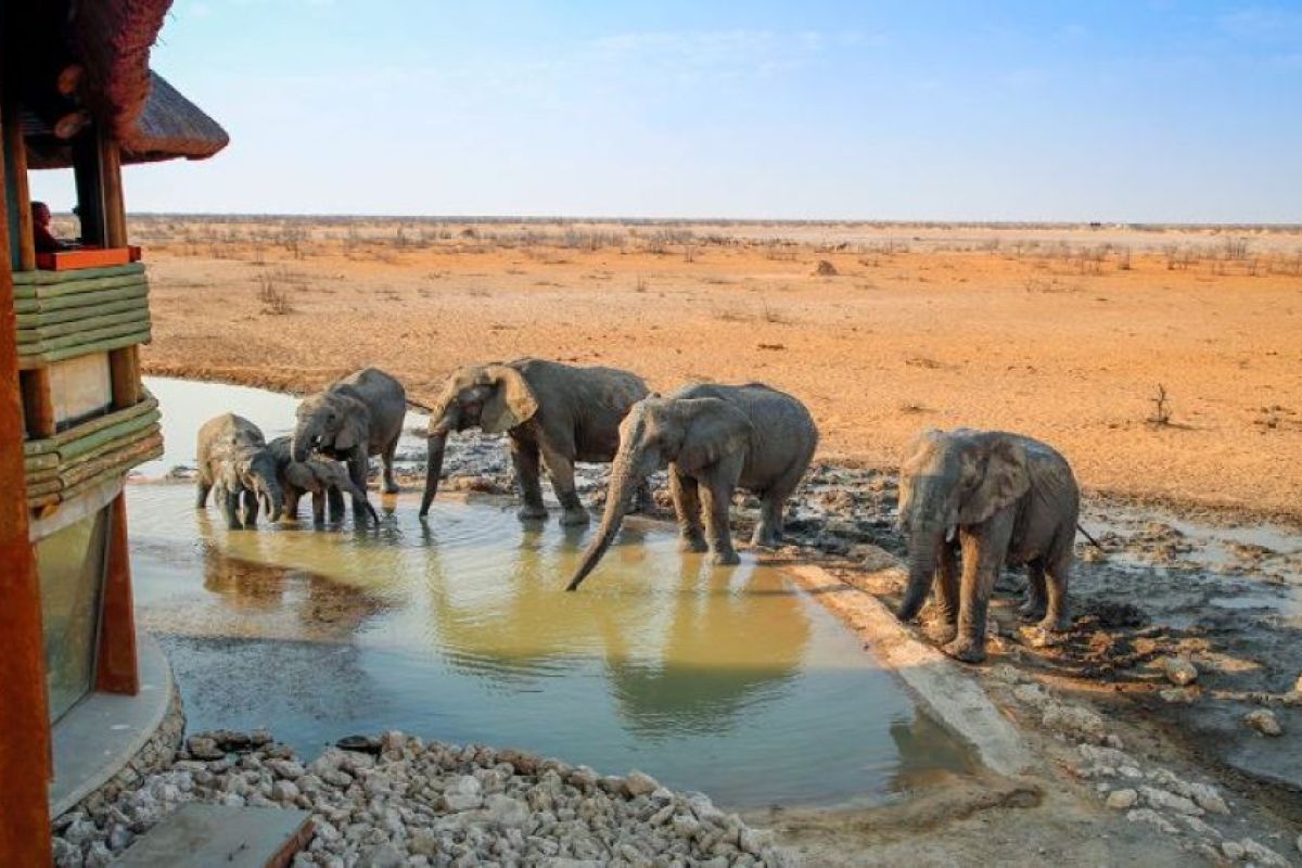 21-daagse Selfdrive Namibie en Botswana, Desert meets Delta