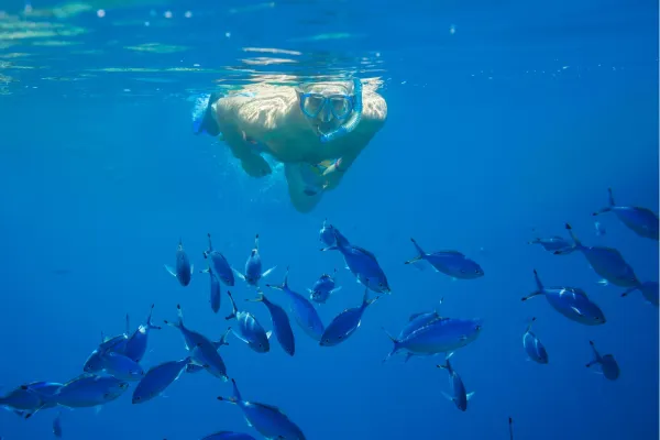 Snorkelaar in helderblauw zeewater met een school vissen