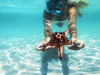 Onderwaterfoto van snorkelaar met zeester voor de kust van Diani Beach