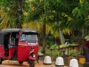 16-daagse rondreis Sri Lanka Rode tuk-tuk langs de weg met fruitkraam en palmbomen in Sri Lanka