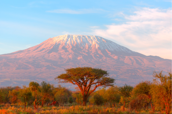 Moshi_Uitzicht op Kilimanjaro Tanzania