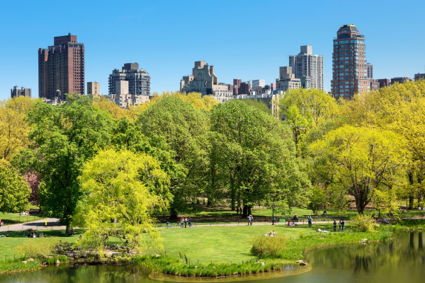 Central Park in New York met wandelpaden, groen en skyline op de achtergrond.