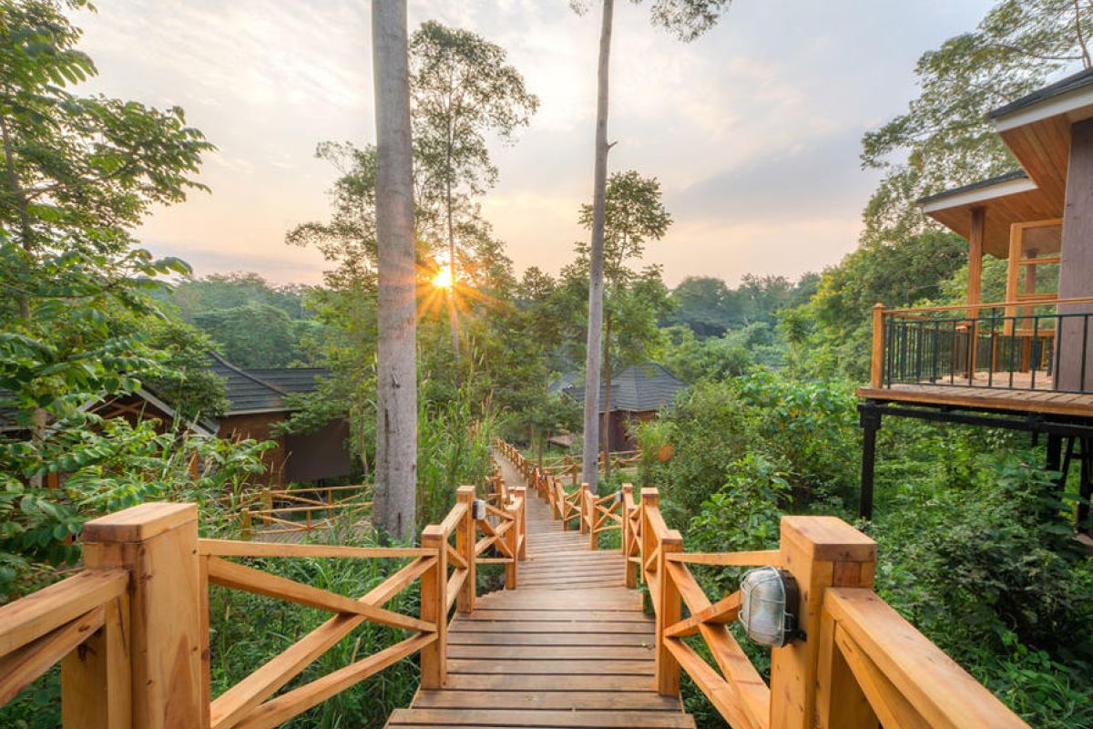 Chimpundu Lodge in Kibale Forest National Park omringd door dicht regenwoud