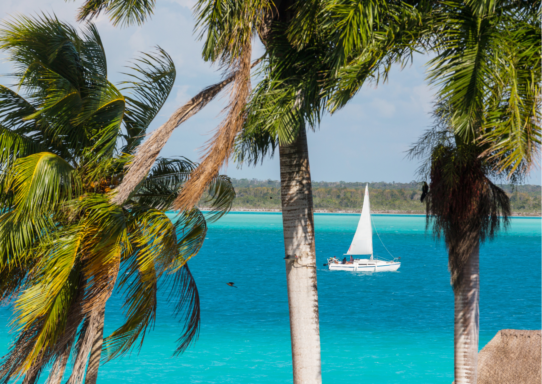 Bacalar Zeilboot - “Zeilboot op turquoise water van de Bacalar-lagune.”