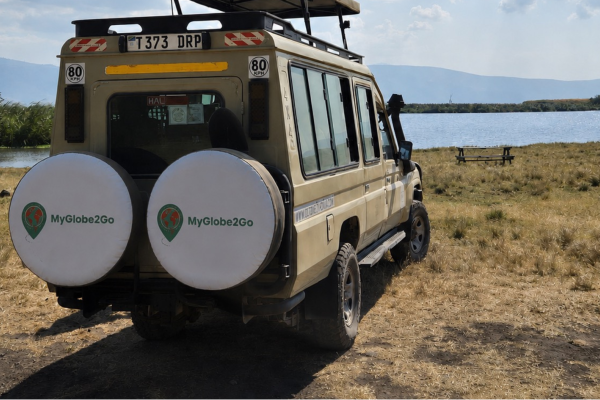 MyGlobe2Go-safariauto met leeuwen tijdens een privé safari in Tanzania