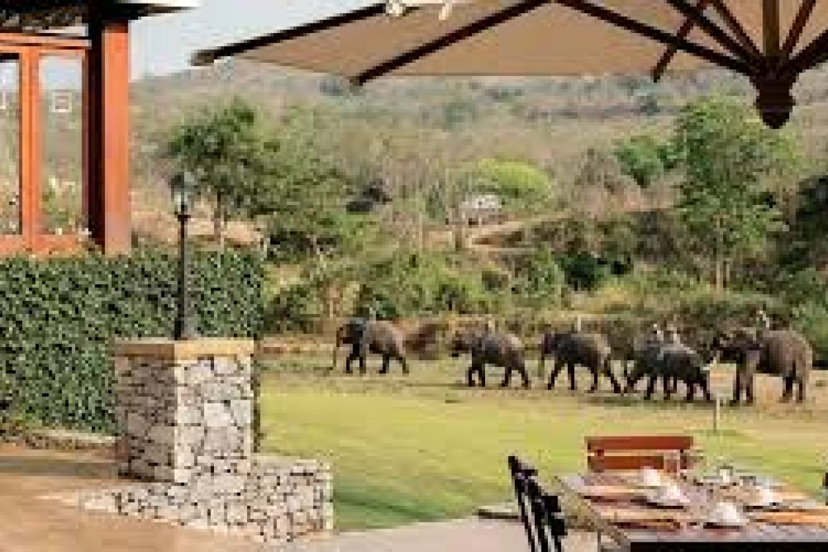 23-daagse Selfdrive Zuid-Afrika, Highlights of Zuid-Afrika