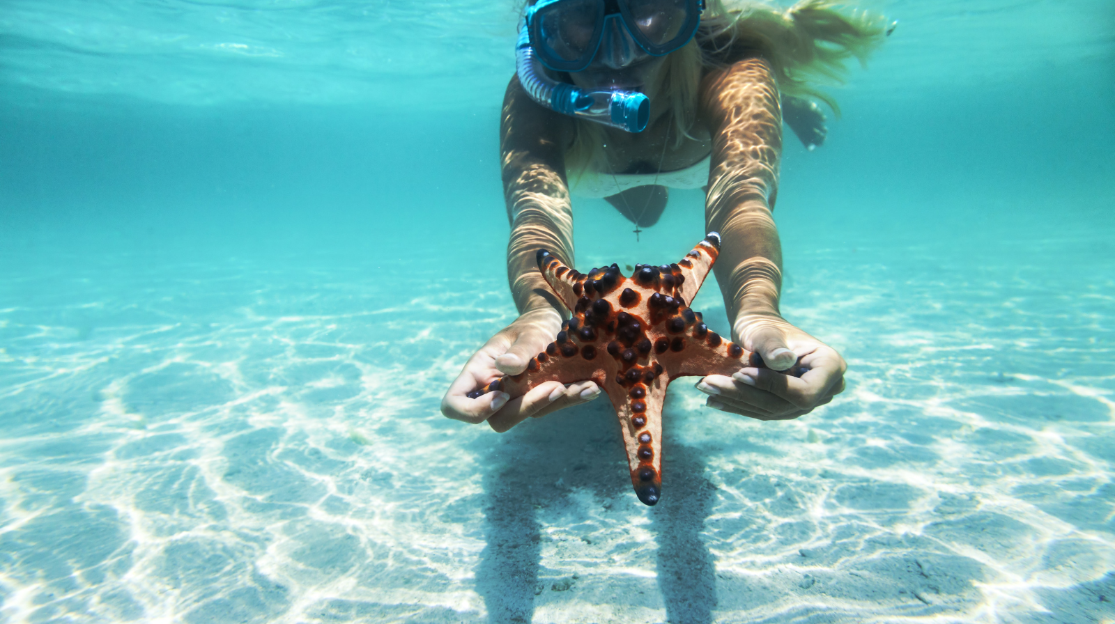 Onderwaterfoto van snorkelaar met zeester voor de kust van Diani Beach
