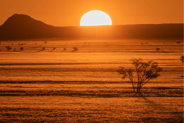 Namibie_Zonsondergang otjiwarongo