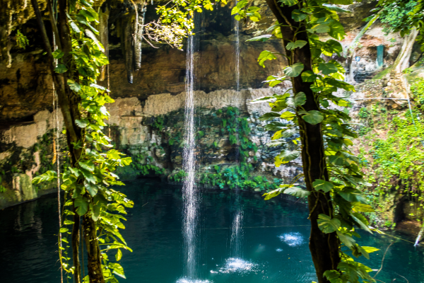 Cenote Zací in Valladolid, Mexico, een open cenote midden in de stad met helder water, hangende lianen en natuurlijke rotswanden in Yucatán.