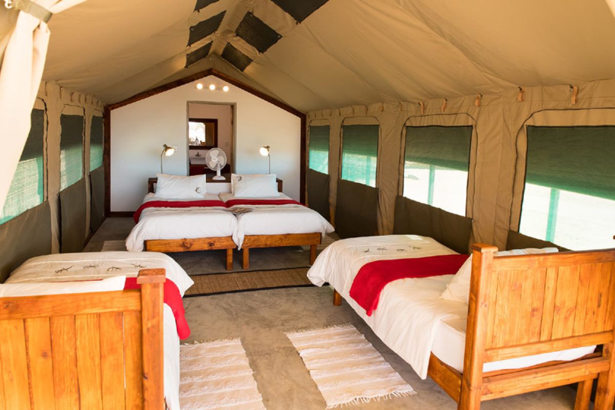 21-daagse Selfdrive Namibie en Botswana, Desert meets Delta