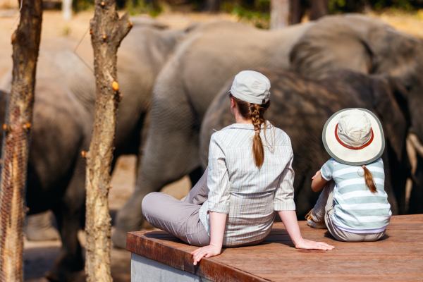 Safari met kinderen kijken naar olifanten bij waterput