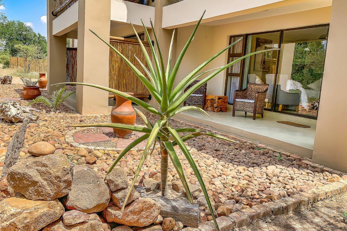 tshikwalo game lodge dinokeng