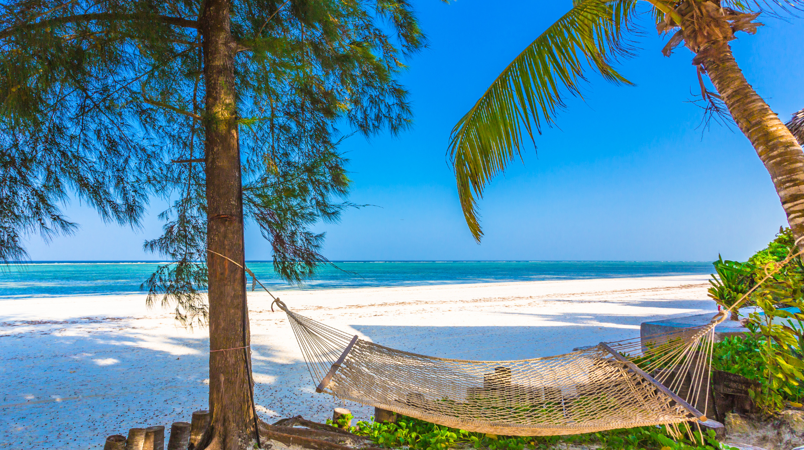 Hangmat op Diani Beach tussen palmbomen met uitzicht op de turquoise Indische Oceaa