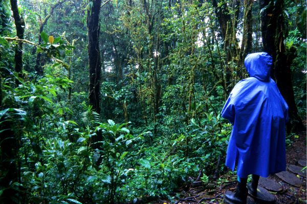 Mistig nevelwoud in Monteverde tijdens een rondreis Costa Rica.