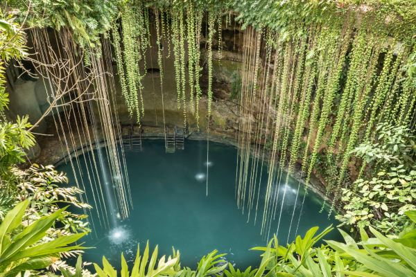 Panorama van Cenote Zací in Valladolid met natuurlijke grotstructuren en hangende wortels