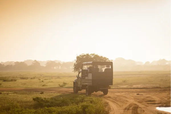 Safari-jeep rijdt door Yala National Park in Sri Lanka