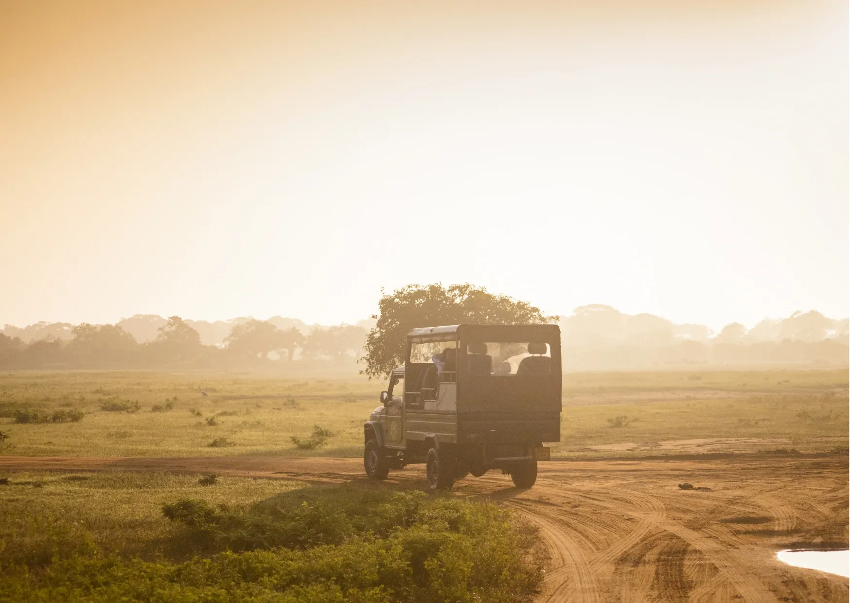 Safari-jeep rijdt door Yala National Park in Sri Lanka