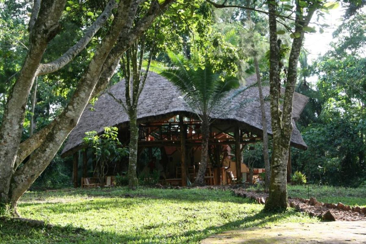 Kibale Forest Camp midden in het regenwoud van Kibale Forest National Park.