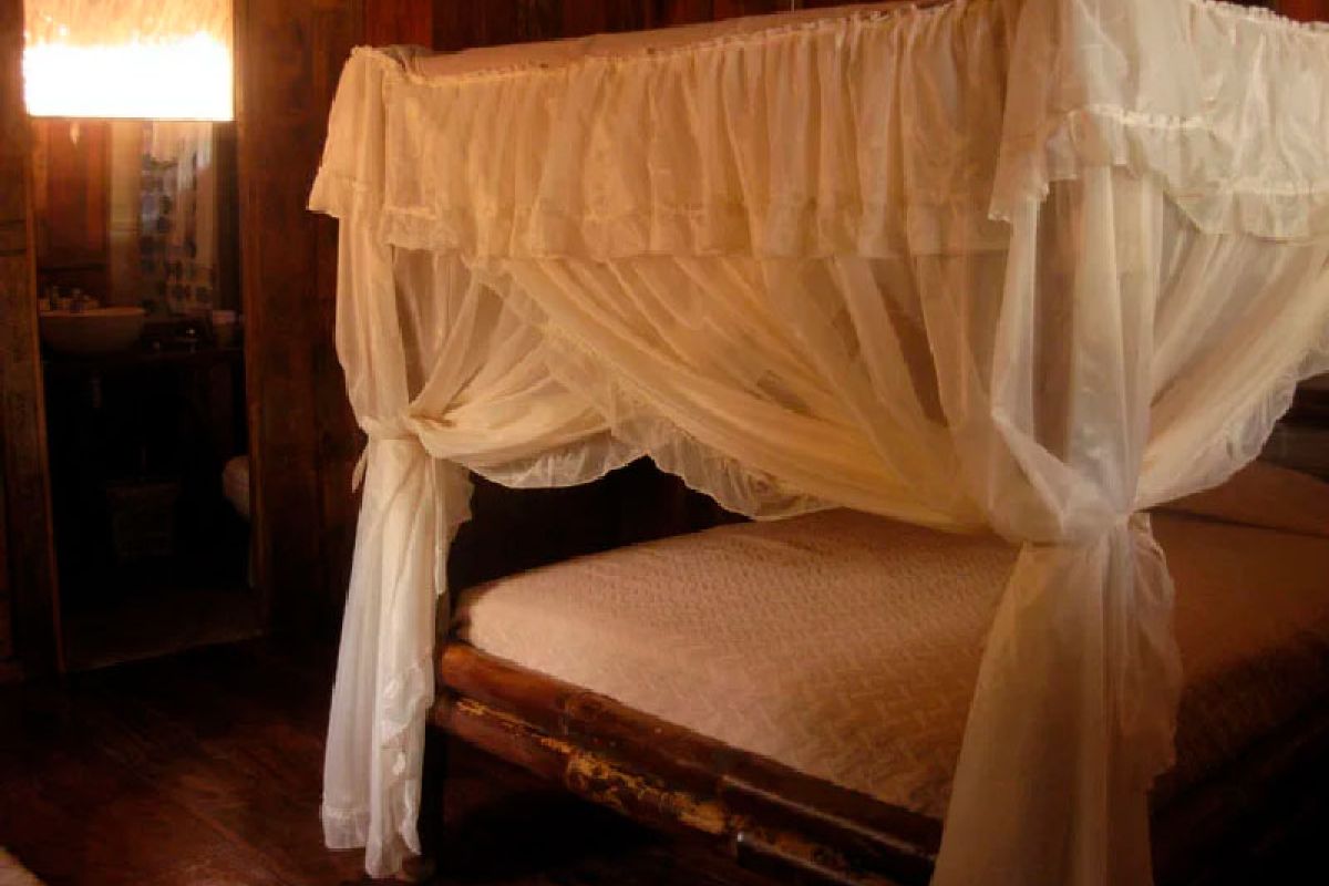 19-daagse rondreis Ecuador & de Galápagos eilanden