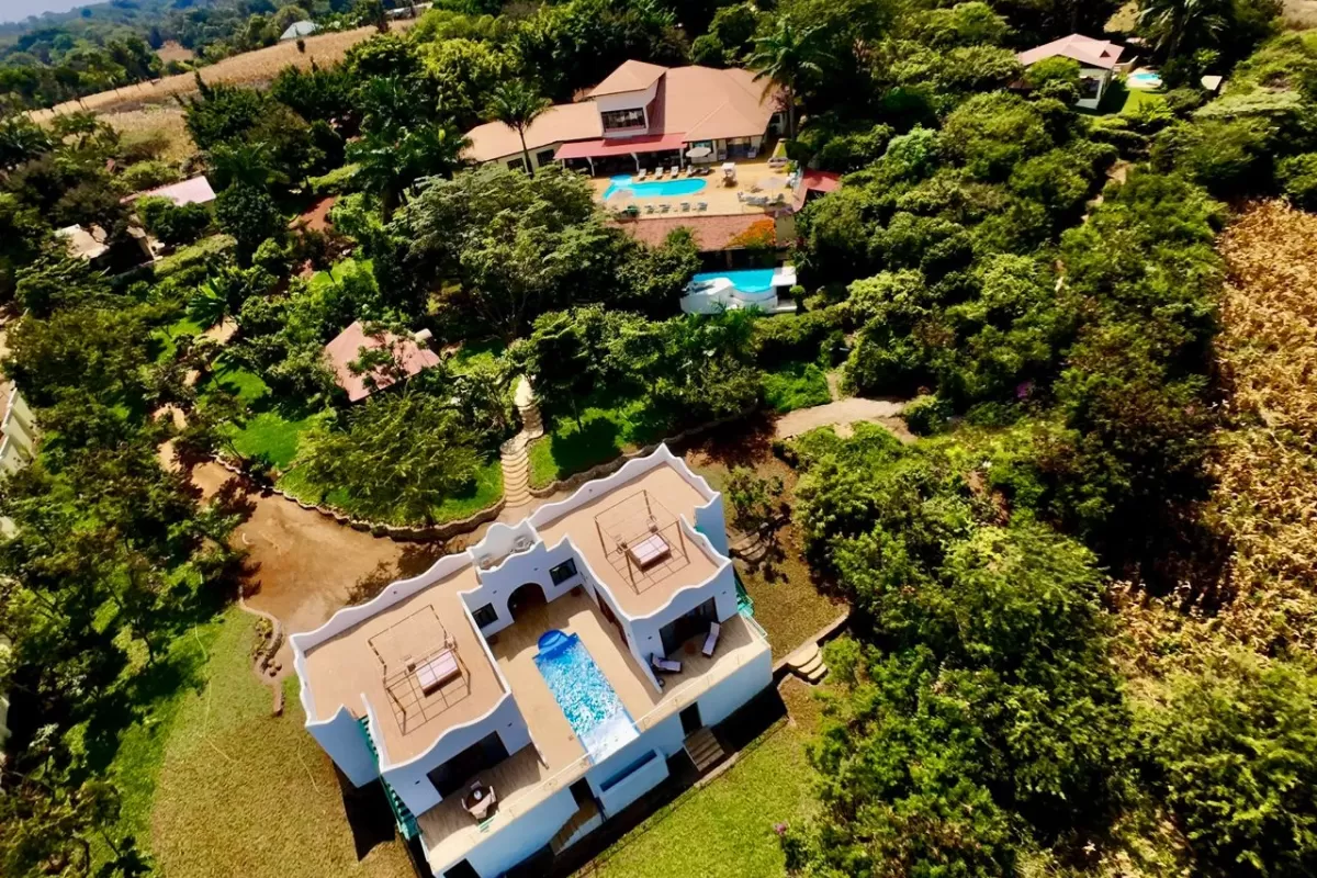 Moshi - pink flamingo lodge