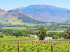 Fransschhoek-Wijnlandschap-Panorama uitzicht