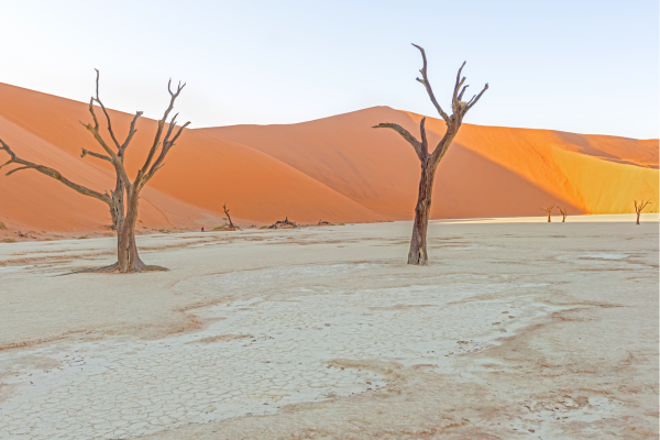 Sesriem_Dead Vlei_Namibie