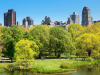 Central Park in New York met wandelpaden, groen en skyline op de achtergrond.