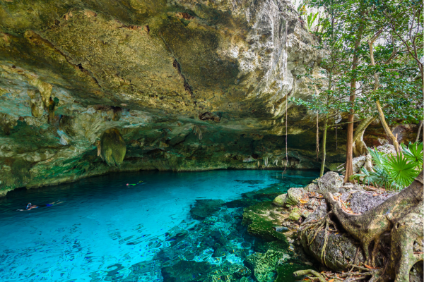 Cenote Tulum Dos Ojos “Kristalhelder blauw water in cenote Dos Ojos.”