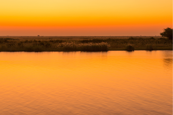 Chobe Rivier bij avond_Namibie