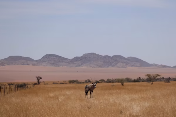 Etosha West - “Uitzicht over West-Etosha vanaf Dolomite Camp – selfdrive Namibië safari.” 
