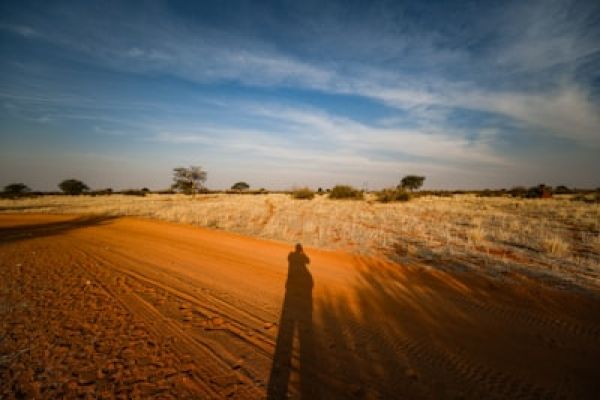 “Ochtend gamedrive in Pilanesberg Nationaal Park”