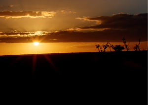 Addo Elephant Park - sunrise
