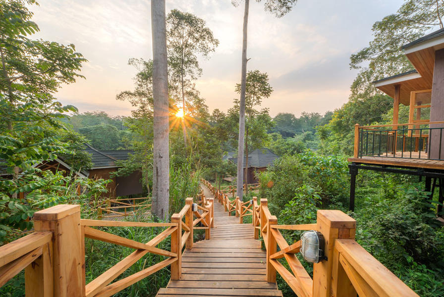Chimpundu Lodge in Kibale Forest National Park omringd door dicht regenwoud