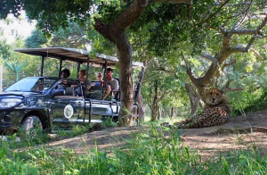 Gamedrive in open jeep met uitzicht over de savanne van Balule