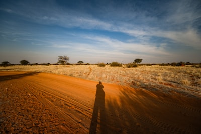 “Ochtend gamedrive in Pilanesberg Nationaal Park”