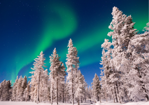 Besneeuwd Lapland met noorderlicht tijdens rondreis 5 dagen in Rovaniemi