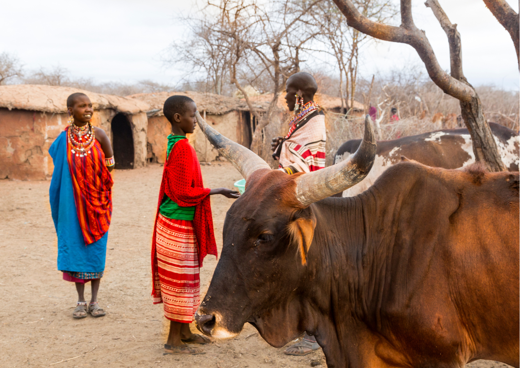Maasai Village_lokale bevolking