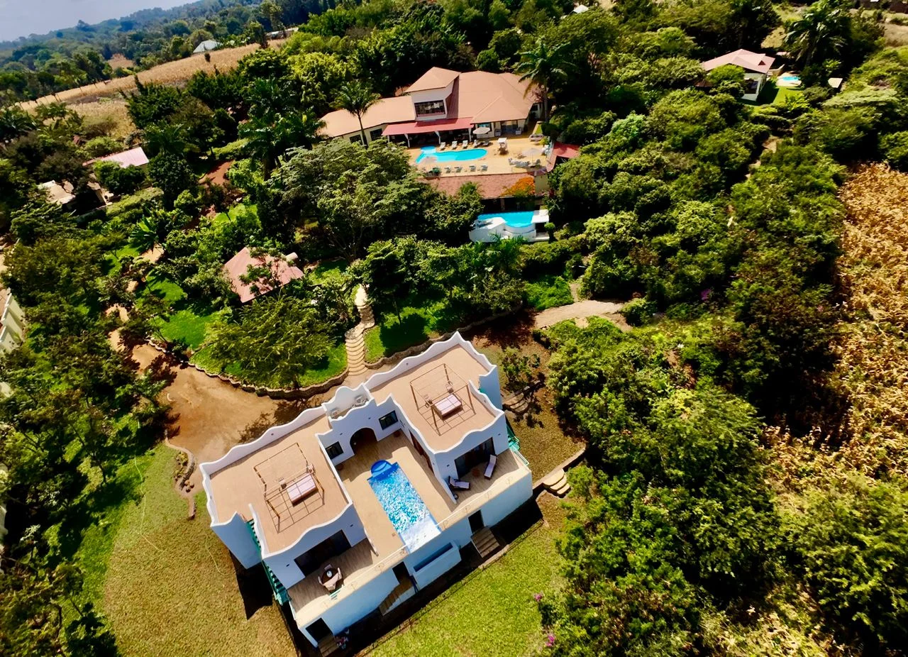 Moshi - pink flamingo lodge